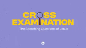 Cross Examination