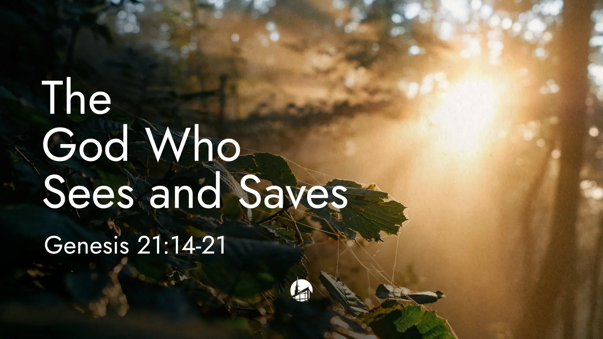 The God Who Sees And Saves
