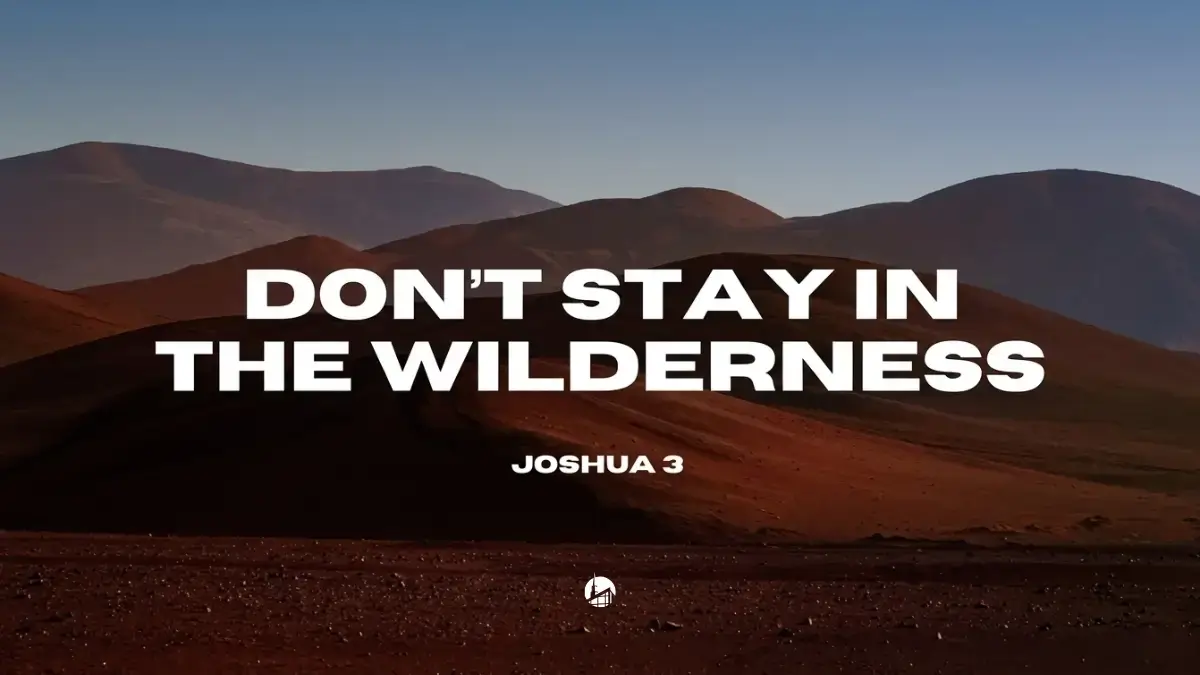 Don’t Stay In The Wilderness