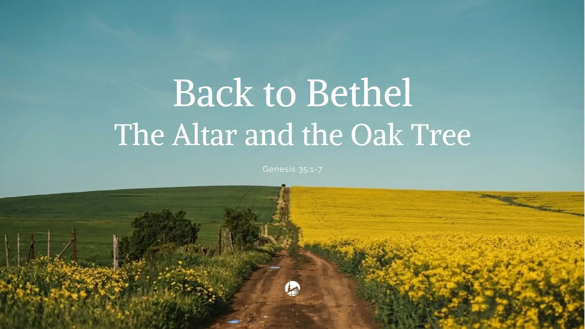 Back to Bethel: The Altar and the Oak Tree